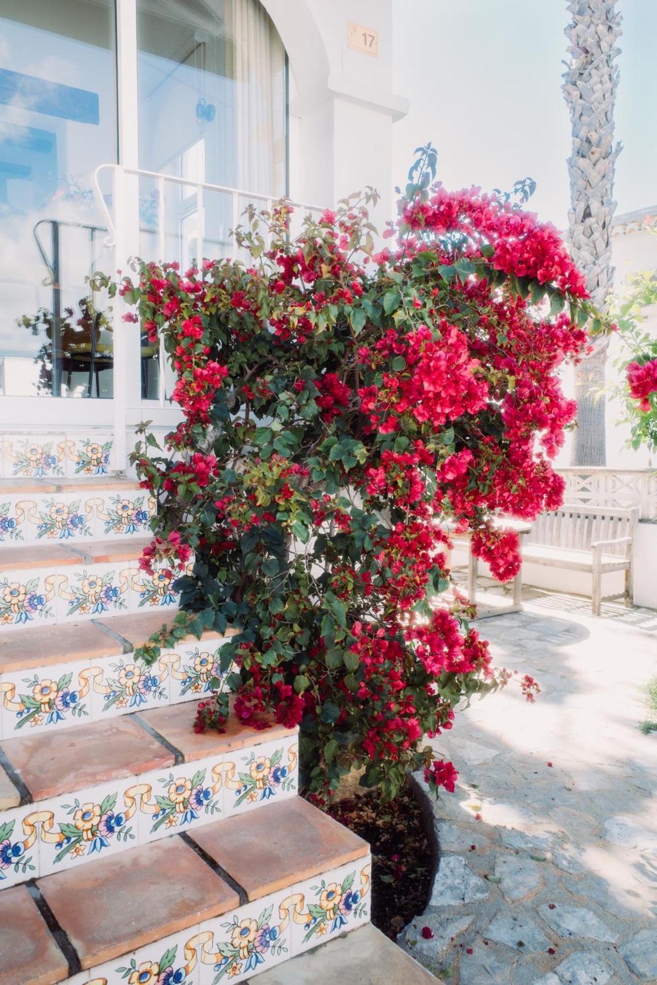 فيلا Casa Bianca 2 تيولادا المظهر الخارجي الصورة